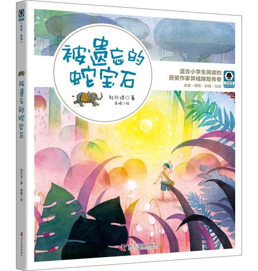 被遗忘的蛇宝石 商品图0