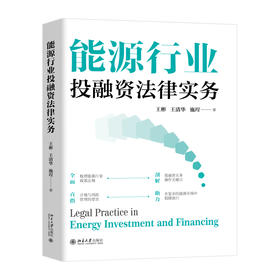 能源行业投融资法律实务 王彬 王清华 施珵 著 北京大学出版社