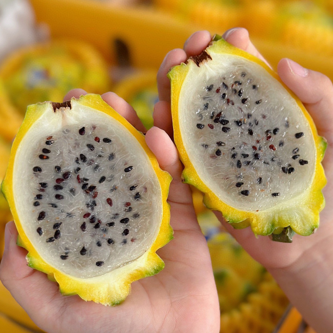 海南黄金燕窝果