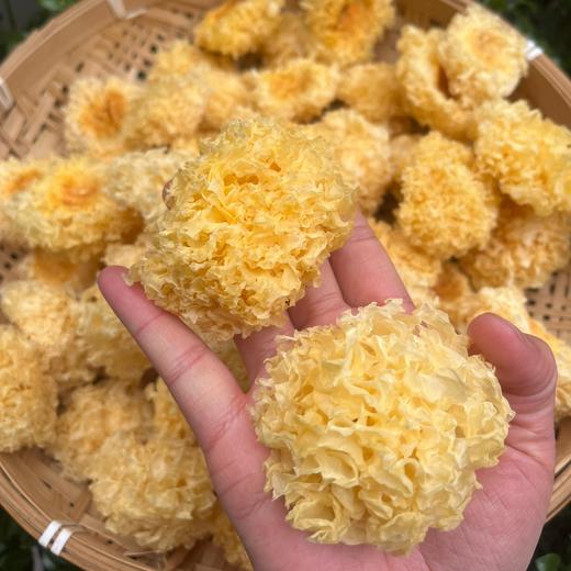 土哆哆云南高原山货食用农产品干糯银耳、桃胶、皂角米、雪燕无熏硫肉质Q弹 商品图0