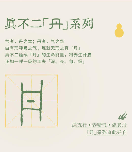 真不二养生丹锤 商品图4