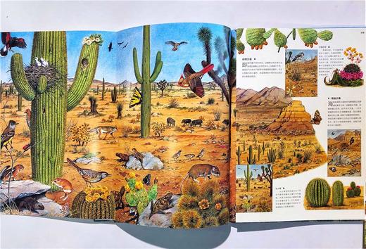 自然画卷（套装共4册） 商品图7