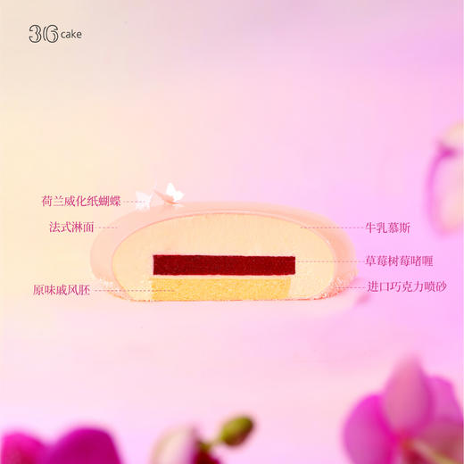 蝶恋，可选5.5英寸 商品图4