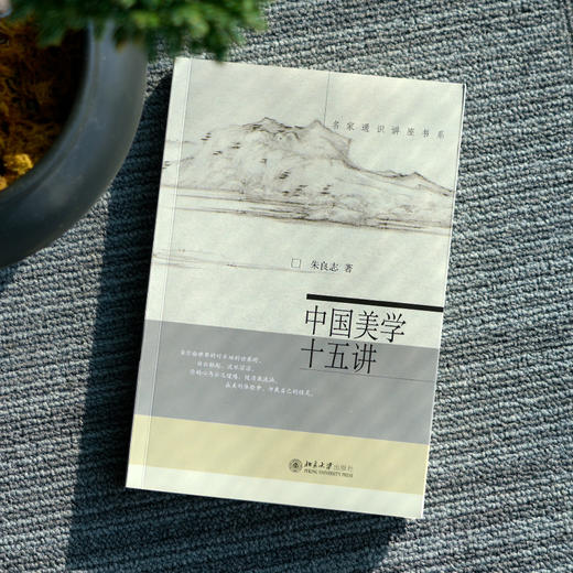 【签名·钤印】朱良志《中国美学十五讲》 商品图1