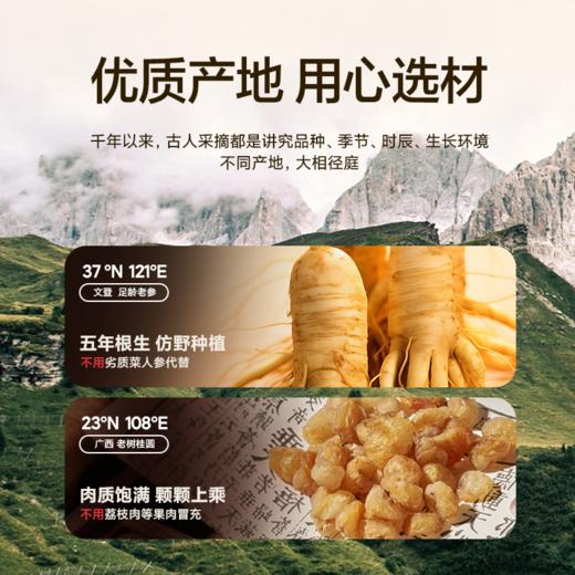 岐黄妙物古法蒸制玉灵膏西洋参龙眼肉非气血双补正品玉灵膏 商品图2