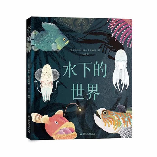 水下的世界 商品图0