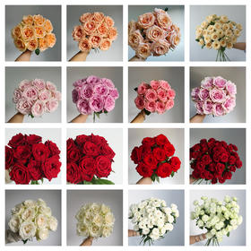 【合集推荐】方德玫瑰到货时VS养护后合集