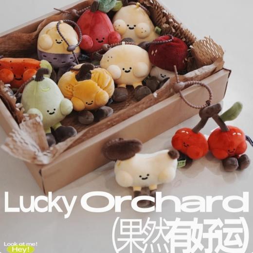 Logaloga果然有好运-芒着发财（芒果） 商品图1