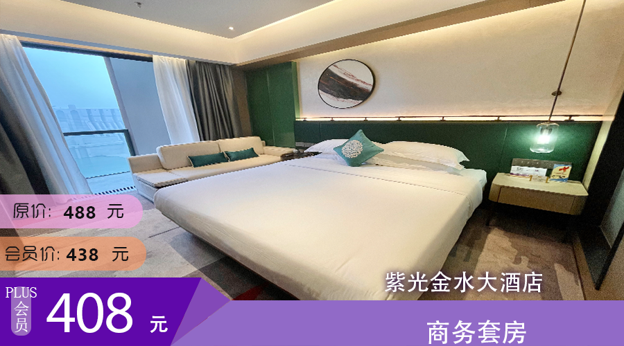 商务套房 紫光金水大酒店
