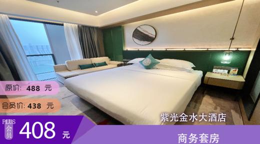 商务套房 紫光金水大酒店 商品图0