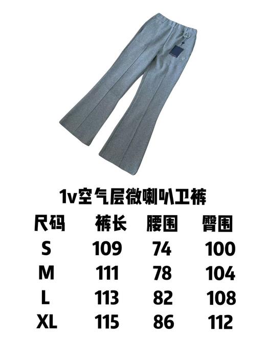 驴家 24ss 灰色空气层太空棉微喇西装卫裤 商品图8