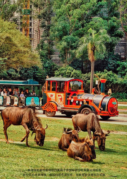 【草原之约】 清远长隆森林王国纯玩1日游 商品图1