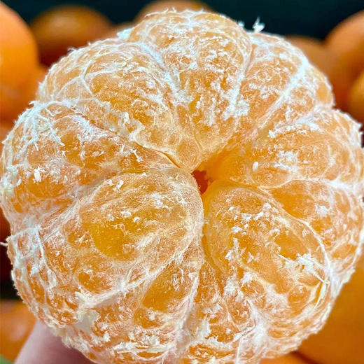 【亿得鲜】云南大理高原沃柑 皮薄肉厚 细嫩多汁 生长周期长 晒足阳光 风味十足 商品图2