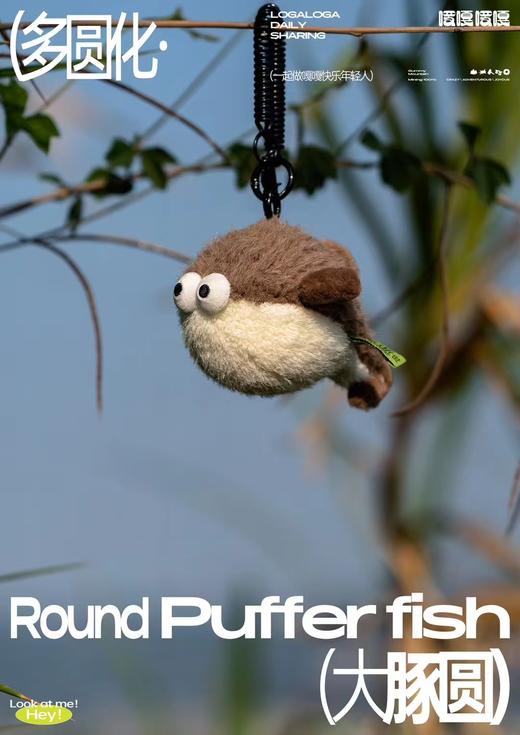 Logaloga大豚圆 河豚 商品图0