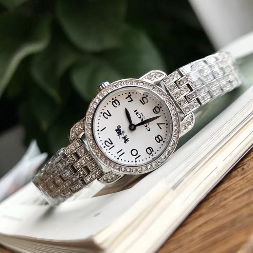 【情人节礼物】COA蔻家帕克系列时尚新款防水镶钻满天星石英腕表手表女表 商品图2