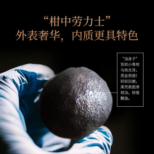 【金奖劳力士】茶马世家 正宗广东新会黑金货郎小青柑普洱熟茶叶礼盒装250g 商品图1
