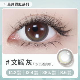 【彩瞳】海昌星眸瑷可霓虹日抛10片装-文鳐灰