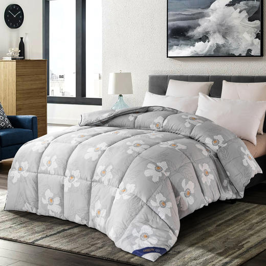 芳恩 32C°恒温暖芯被 商品图0