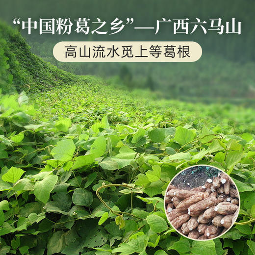 【米马团购】食味的初相 葛根粉210g*1/3罐 商品图2
