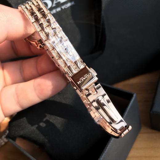 【情人节礼物】春夏季新款女士石英手表 玫瑰金银蓝盘小表盘闪亮精致腕表 商品图7