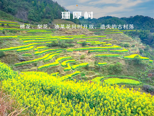 【婺源徒步2日】小众古村徒步线路の井坞-珊厚-庆源-虹关--察关-打卡婺女洲/弦高古城 商品图7