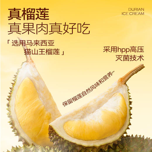 【榴芒一刻】猫山王榴莲冰淇淋100克(25g*4)Mini款 商品图3