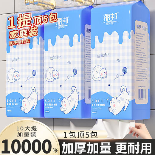 【3提/6提/10提】丽邦可爱款悬挂式底部抽纸巾4层250抽家庭装 商品图1