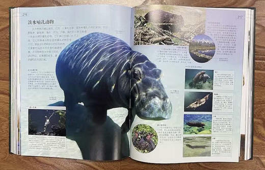 DK探索百科：生命寒假阅读寒假课外书课外寒假自主阅读假期读物 商品图6