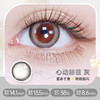 【彩瞳】海昌星眸EYES&happygo季抛2片装|心动赫兹灰 商品缩略图0
