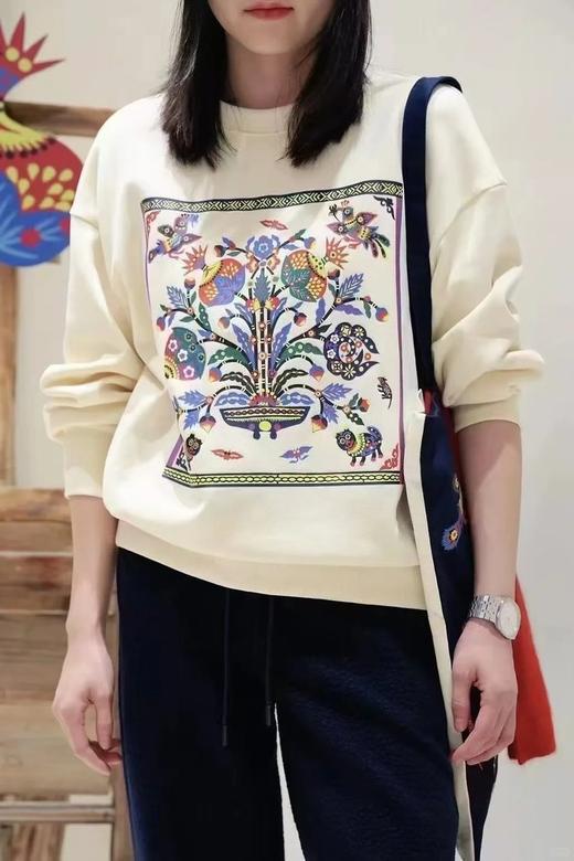 【高品质私服】【IC棉毛圈布卫衣】衣身宽松廓形，包容身形G1144-CC【无标出货 介意慎拍】 商品图1