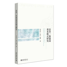 法治一体建设基本模式研究 章志远 马迅 黄娟 著 北京大学出版社