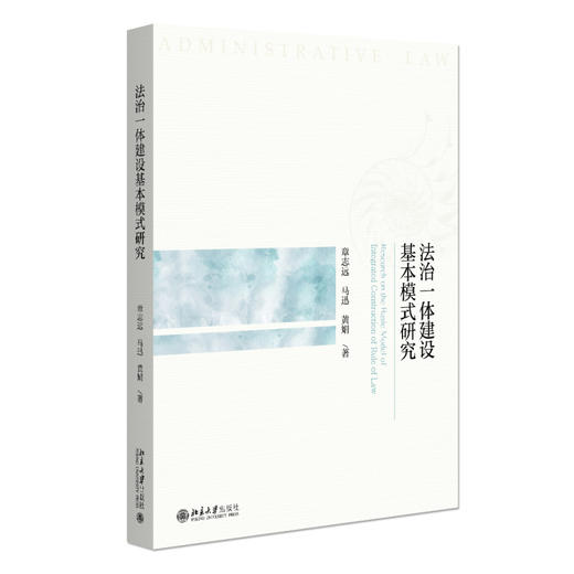 法治一体建设基本模式研究 章志远 马迅 黄娟 著 北京大学出版社 商品图0