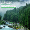 千禾3年窖醋5度 500mL【0添加】老陈醋凉拌饺子食用炒菜蘸食 /粮油调味 /调味品 /醋 商品缩略图3