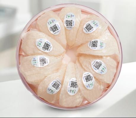 马来燕窝 礼盒100g 商品图0