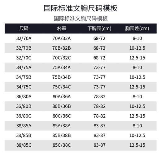 安莉芳 无钢圈舒挺杯舒适聚拢收副乳文胸EBW0763 商品图5