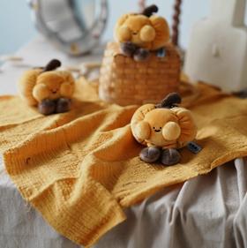 Logaloga菜园滚滚-迎南而上（南瓜）