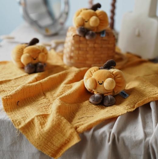 Logaloga菜园滚滚-迎南而上（南瓜） 商品图0