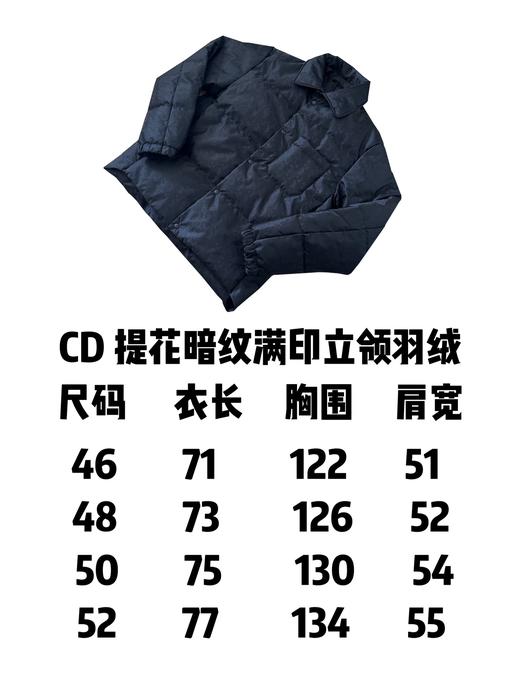 CD 24fw oblique 科技暗纹提花满印薄款立领夹克羽绒外套 商品图9