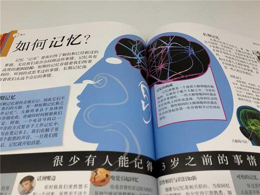 DK有趣的科学：什么组成我vs什么指挥我（套装系列） 商品图6