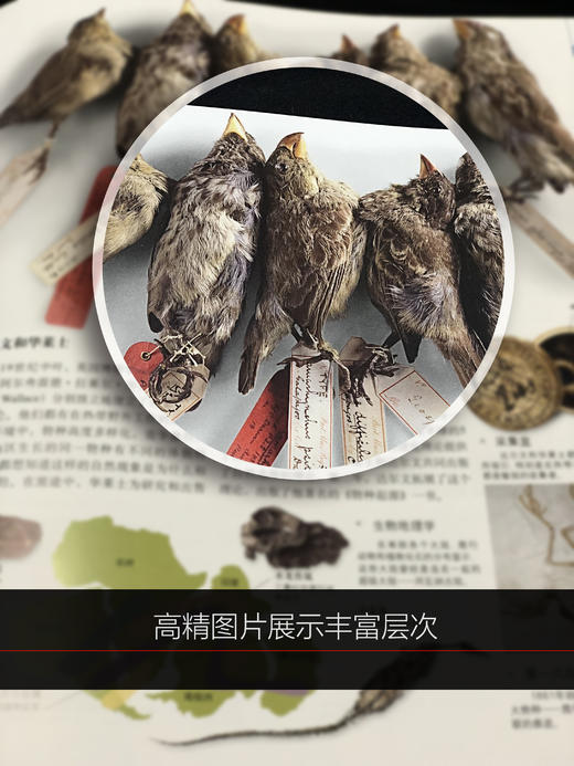 DK博物系列——自然科学与人文科学的视觉盛宴 商品图1