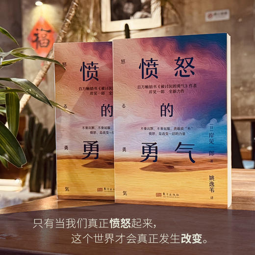 愤怒的勇气 商品图1