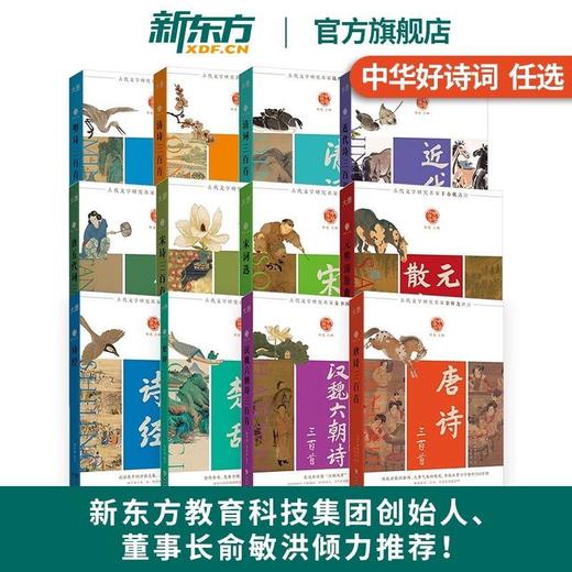 新东方中华好诗词 唐诗宋词元曲明诗清诗三百首 楚辞诗经近代诗 商品图0