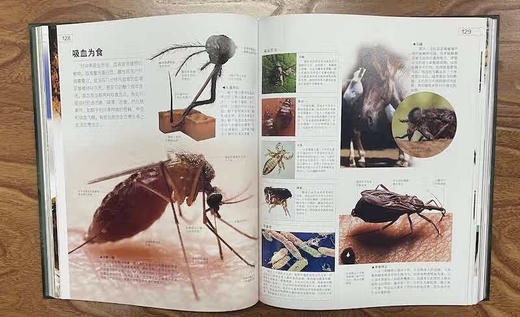 DK探索百科：生命寒假阅读寒假课外书课外寒假自主阅读假期读物 商品图8