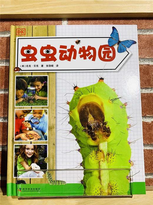 DK虫虫动物园 商品图1