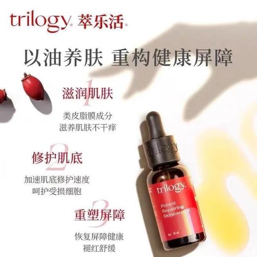 萃乐活玫瑰果油精华 商品图2