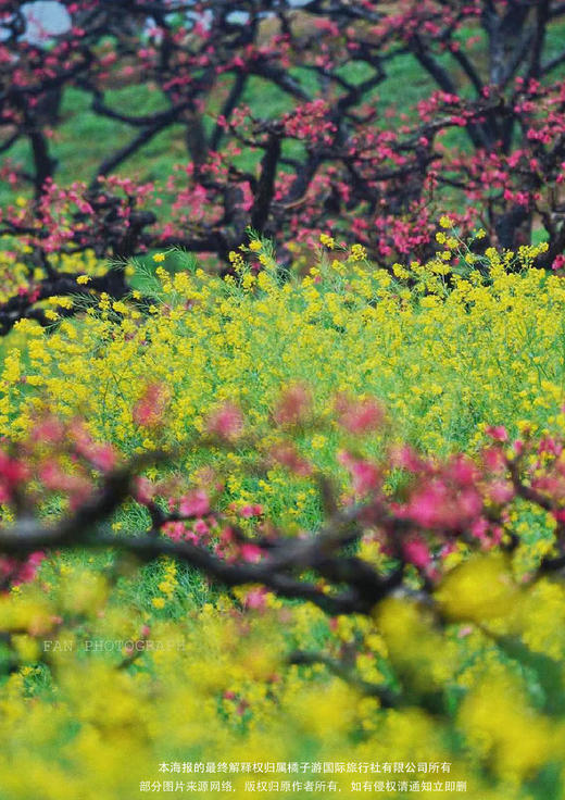 【世外桃源】 韶关“世外桃源”九峰花海 金鸡岭 云门山 纯玩3天 商品图2