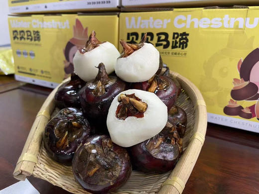 空运✈️水果马蹄
生吃是水果，熟吃是良yao，具有清热下火、清热除燥、润肺zhike等功效，脆甜多汁，被称为“润燥之果”
一箱净果4斤 商品图1