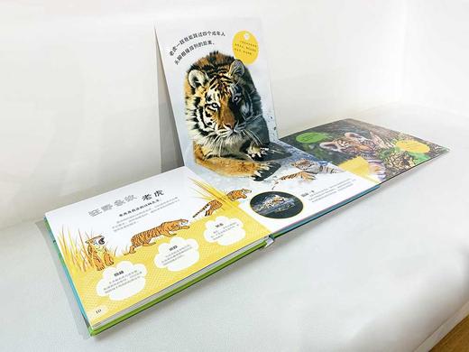 DK翻开不可思议的动物 商品图2