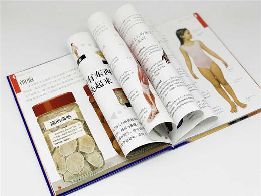 DK有趣的科学：什么组成我vs什么指挥我（套装系列） 商品图3