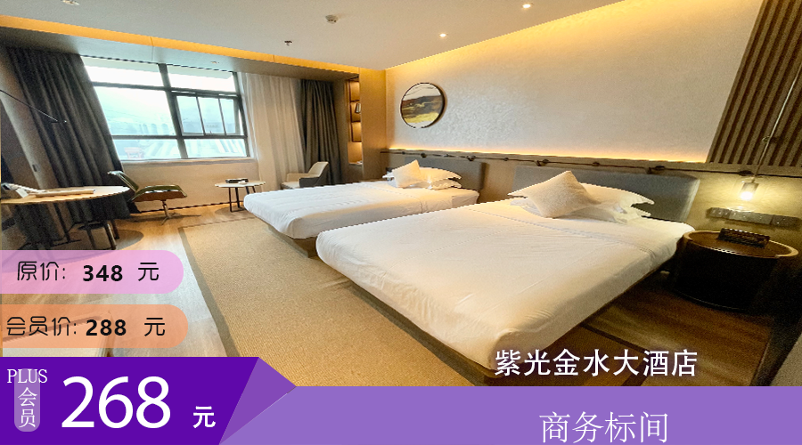 商务标间  紫光金水大酒店
